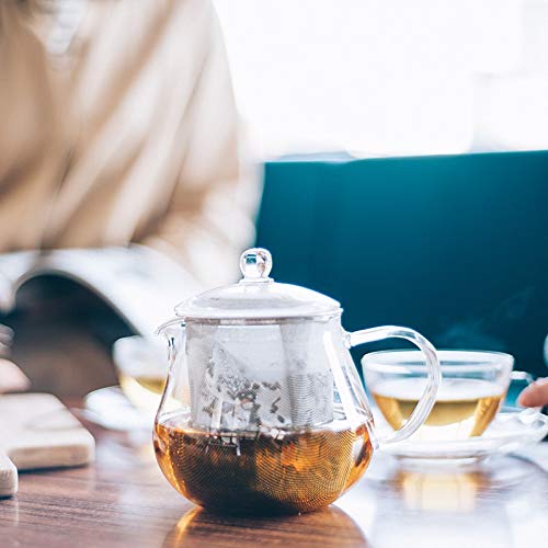 Hario Tea Pot 450ml CHC-45T Heat Res. Glass