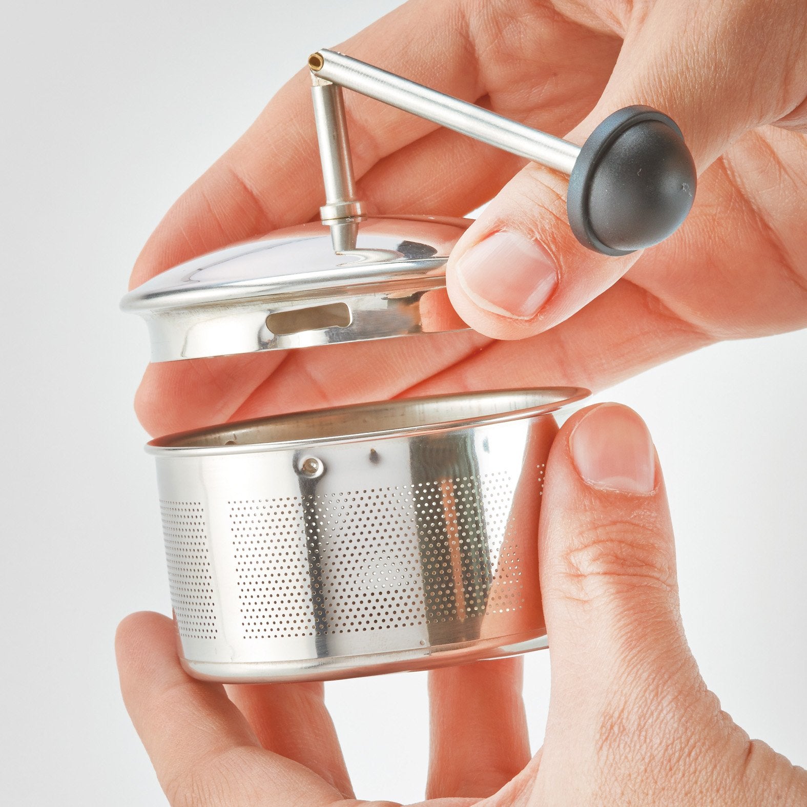 Hario Tea King Silver Chan-2Sv Japan Set For 2 People