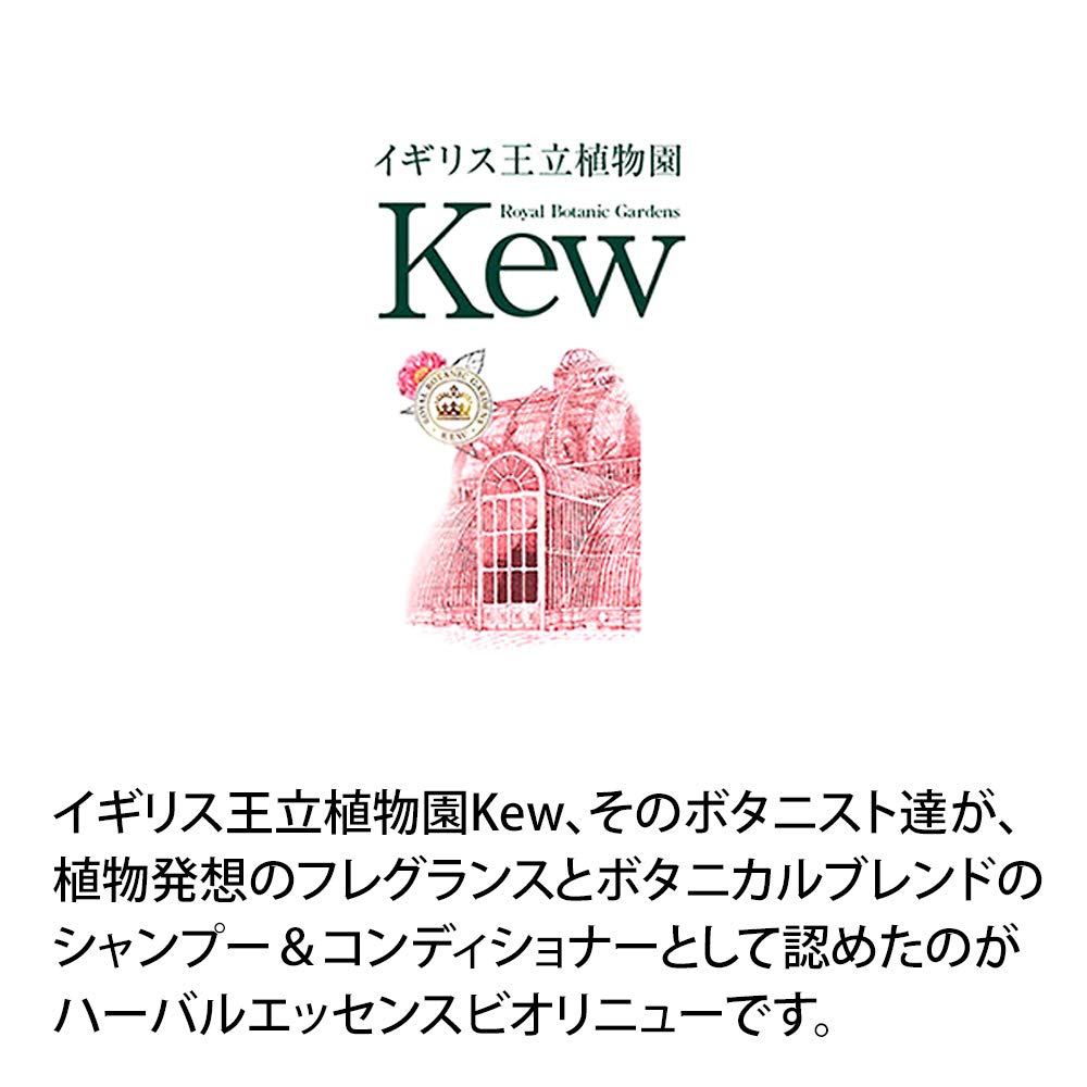 Herbal Essence Bio-Renew Moroccan Oil Conditioner 400Ml Japan (1)