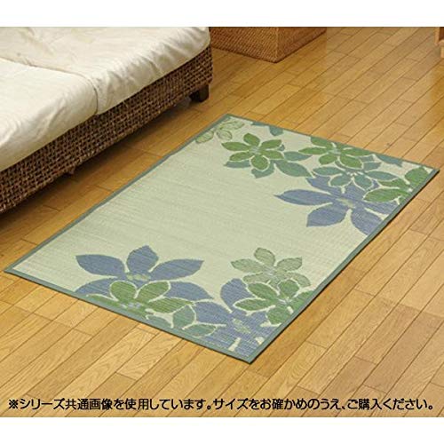 Ikehiko Corporation Rush Rug Room Mat Japan 1 Tatami Leaf Nf Green 90X130Cm #8432200