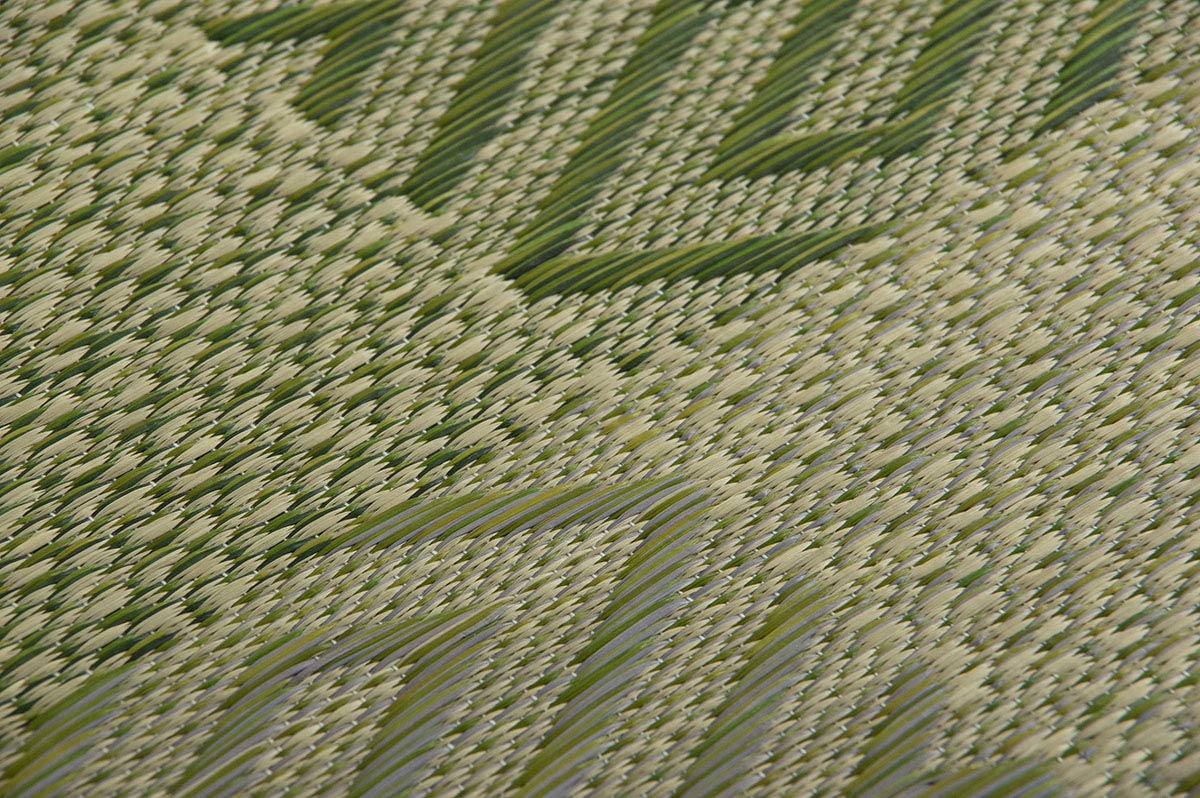 Ikehiko Corporation Rush Zabuton 2-Piece Set Made In Japan Woven Chidori 5 Styles Green 55X55Cm #3127960