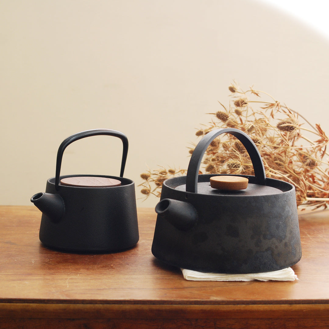 Ikenaga Tetu Nambu Cast Iron Kettle Tetsubin From Japan