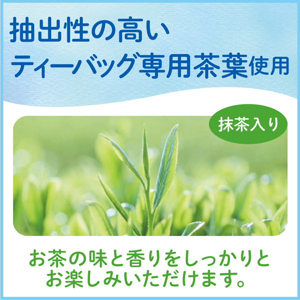 Ito En Oi Ocha Eco Tea Green Tea 22 Bags - Green Tea From Japan - Eco-Friendly Green Tea Bag