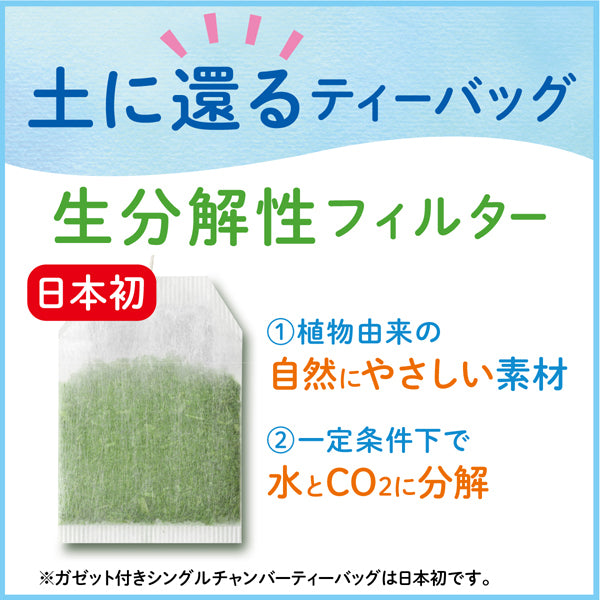 Ito En Oi Ocha Eco Tea Green Tea 22 Bags - Green Tea From Japan - Eco-Friendly Green Tea Bag