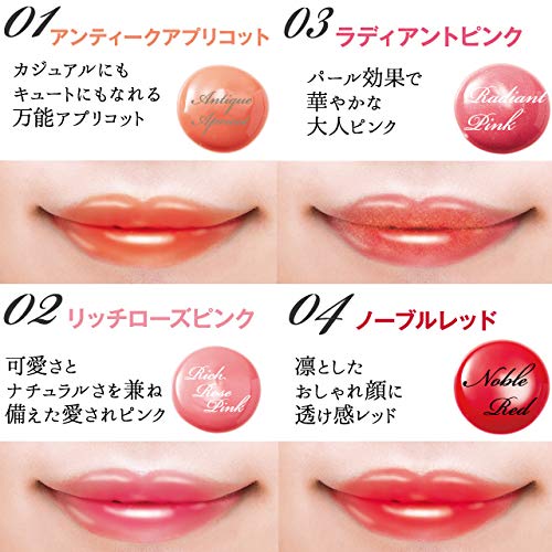 K-Palette Lasting Lip Tint 04 Noble Red 6.5G Japan Multicolor