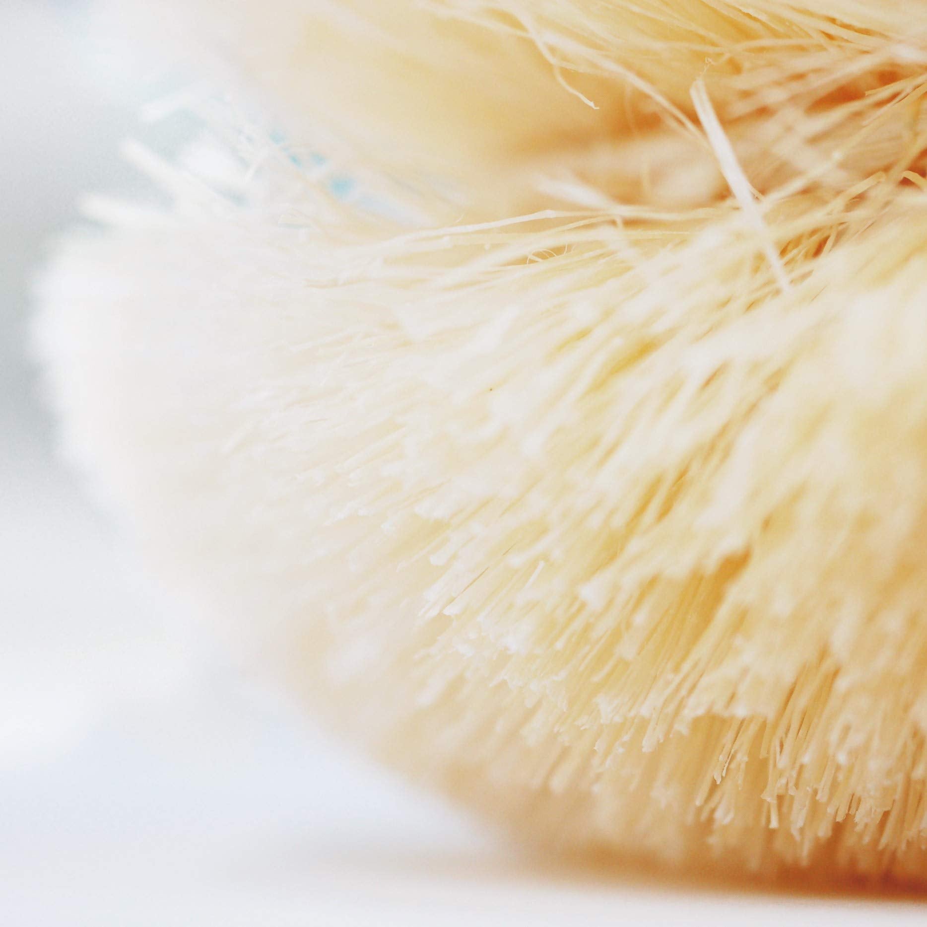 Kamenoko Tsubushi Nishio Shoten White Sisal Hemp Scrubber - Japan (Small)