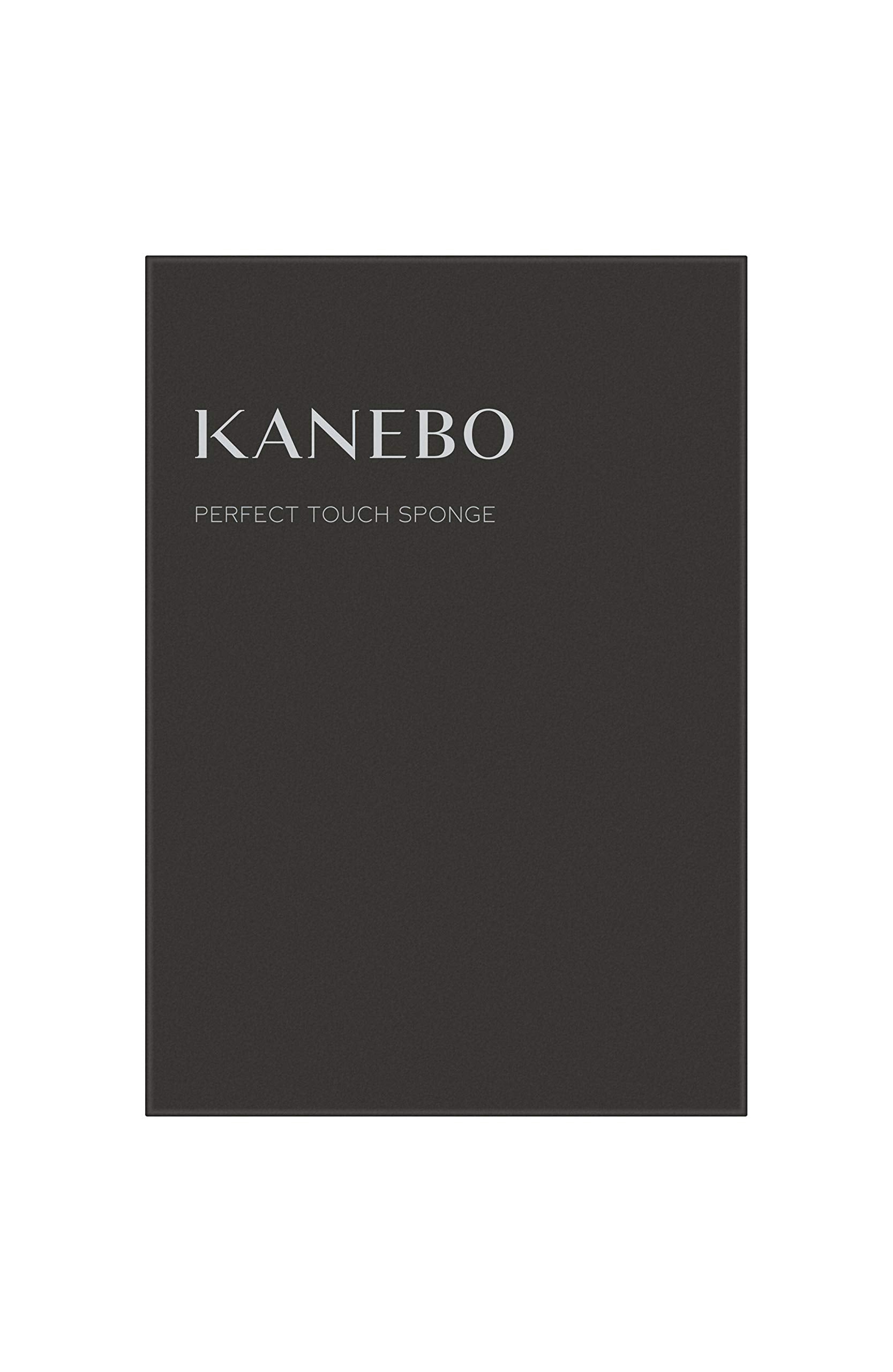 Kanebo Perfect Touch Makeup Sponge High-Quality 1 Piece