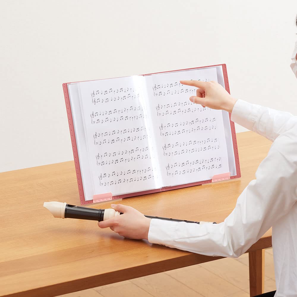 Kingjim Clear File Ziritz A4 20 Pockets Blue 8837 Japan