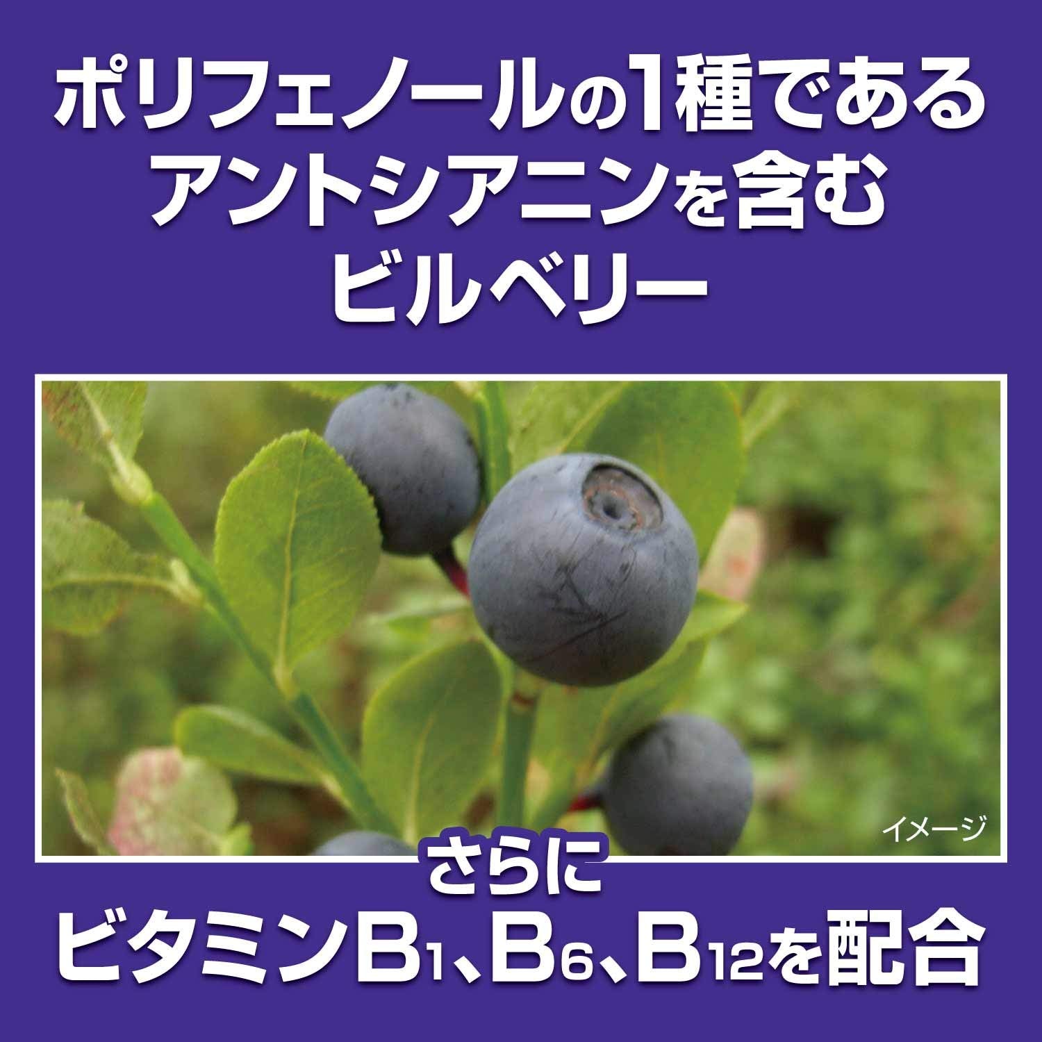 Kobayashi Pharmaceutical Nutritional Supplements Blueberry Ex 30 Days 60 Grains - Japan