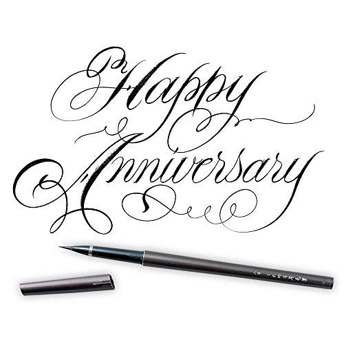 Kuretake Fountain Pen Dp150-8B Tabletop Brush No. 8 Japan