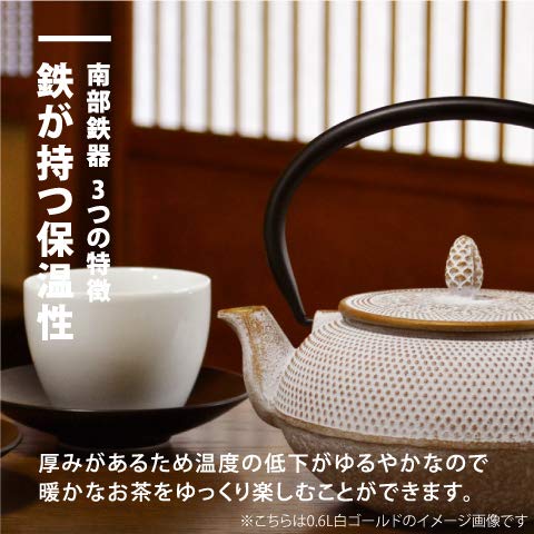 Ren Of Nambu Tekki Teapot 0.4L Japan - Arare Dome Purple - Enameled Tea Strainer Included