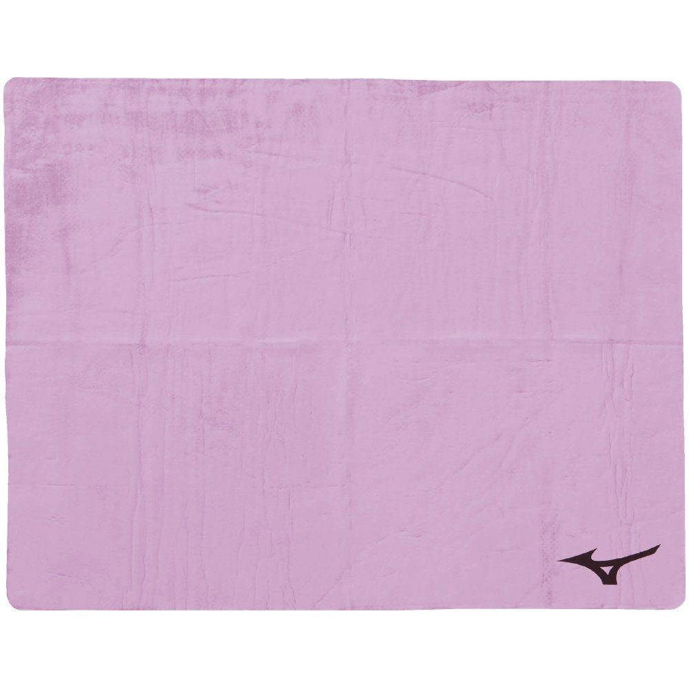 Mizuno Japan Super Absorbent Swimming Pool Towel Lavender Small 34X44Cm N2Jy801168
