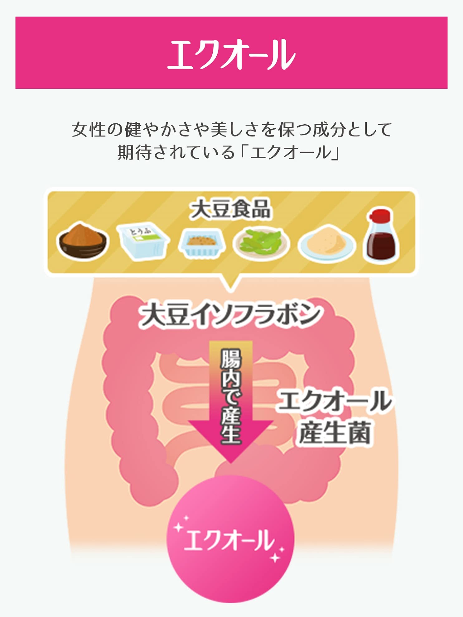 Kobayashi Mother of Life Equol 20 Days 60 Tablets - Japanese Vitamin And Health Supplements