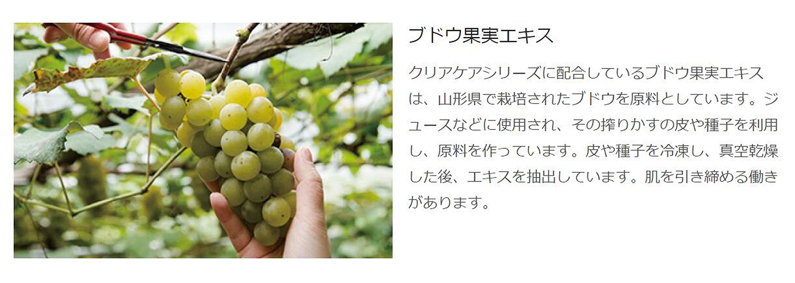 Muji Clear Care Cream Skincare Essential 45g - 44293768