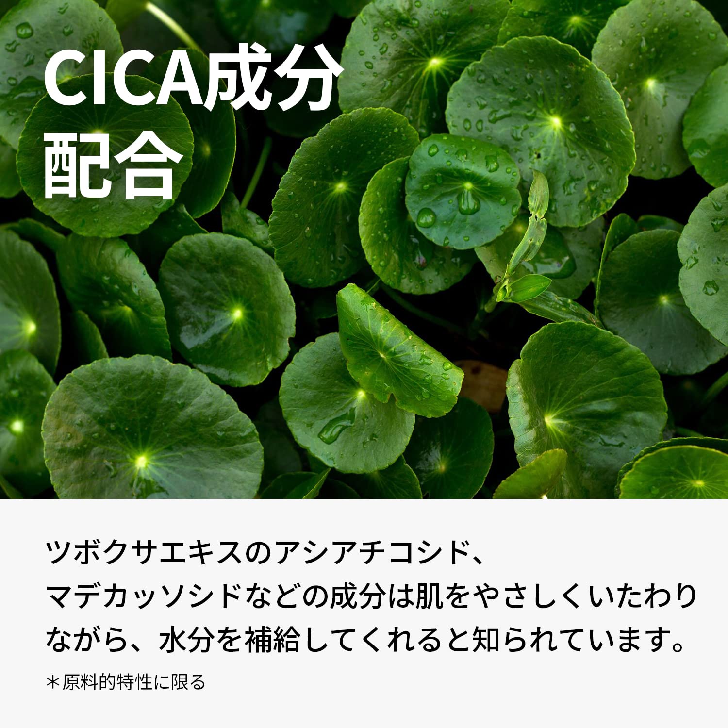 One Thing Centella Extract Lotion 300Ml | Cica Lotion Large Capacity Vegan Skin Care Japan