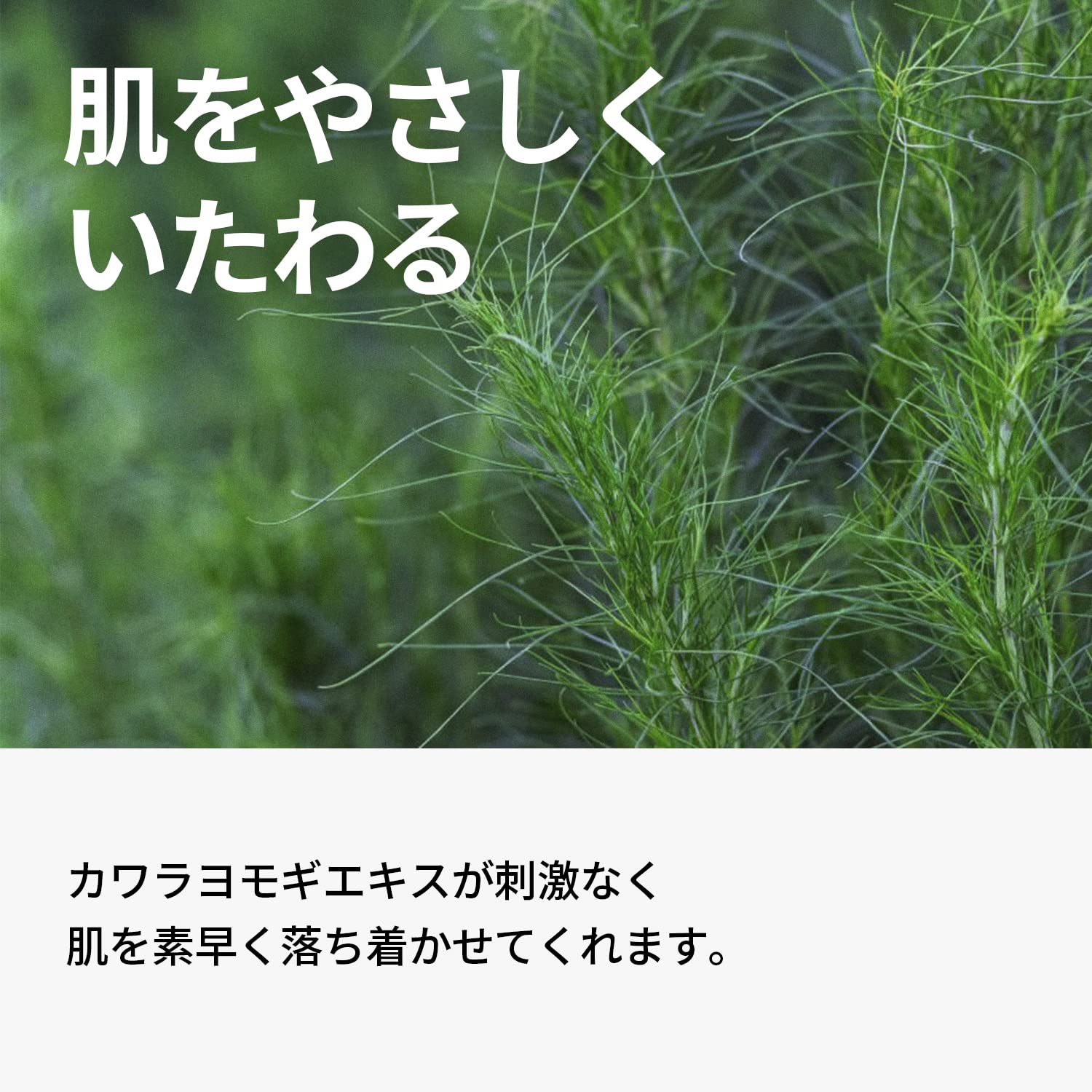 One Thing Kawara Mugwort Extract Lotion 150Ml | Weakly Acidic Vegan Japanese Skin Care