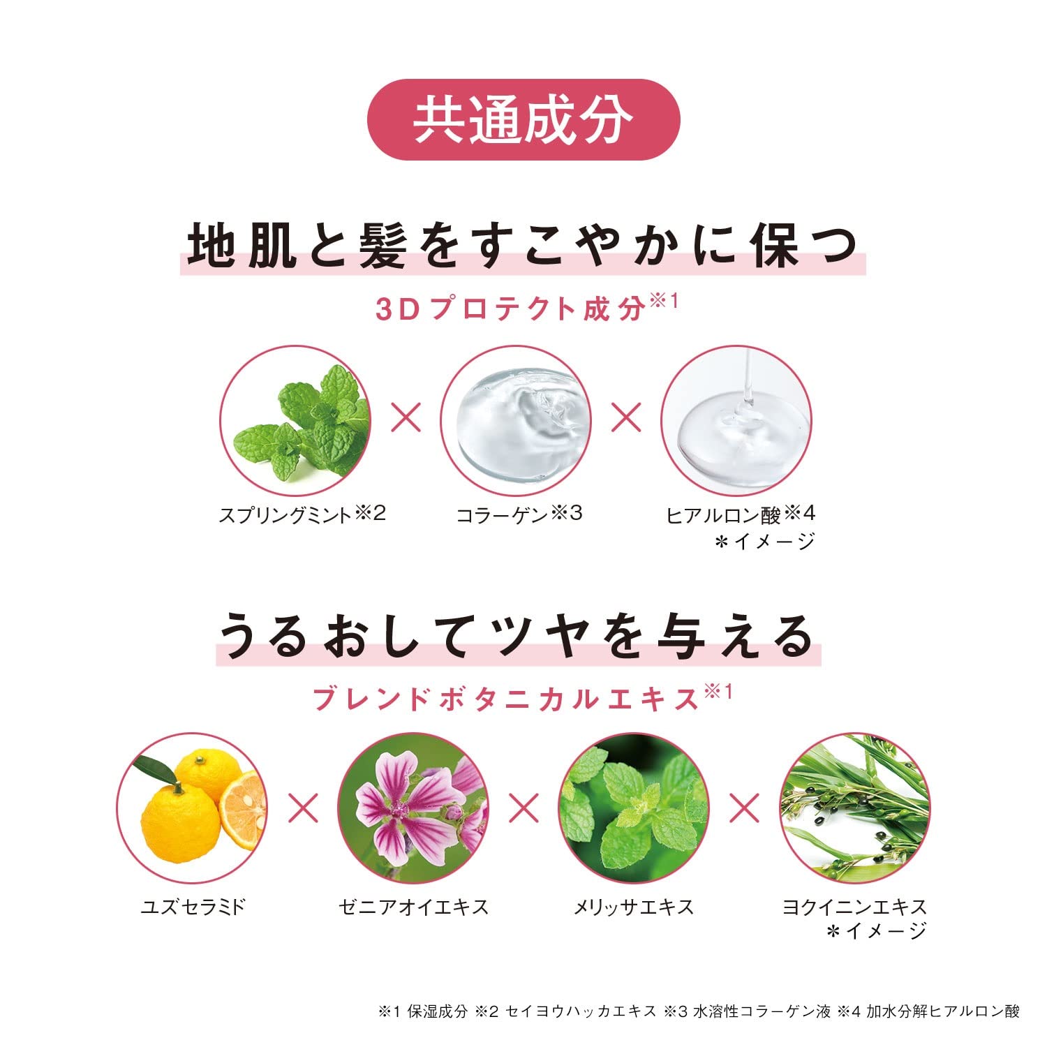 Orbis Quasi-Drug Scalp Refining Shampoo 250Ml Refill