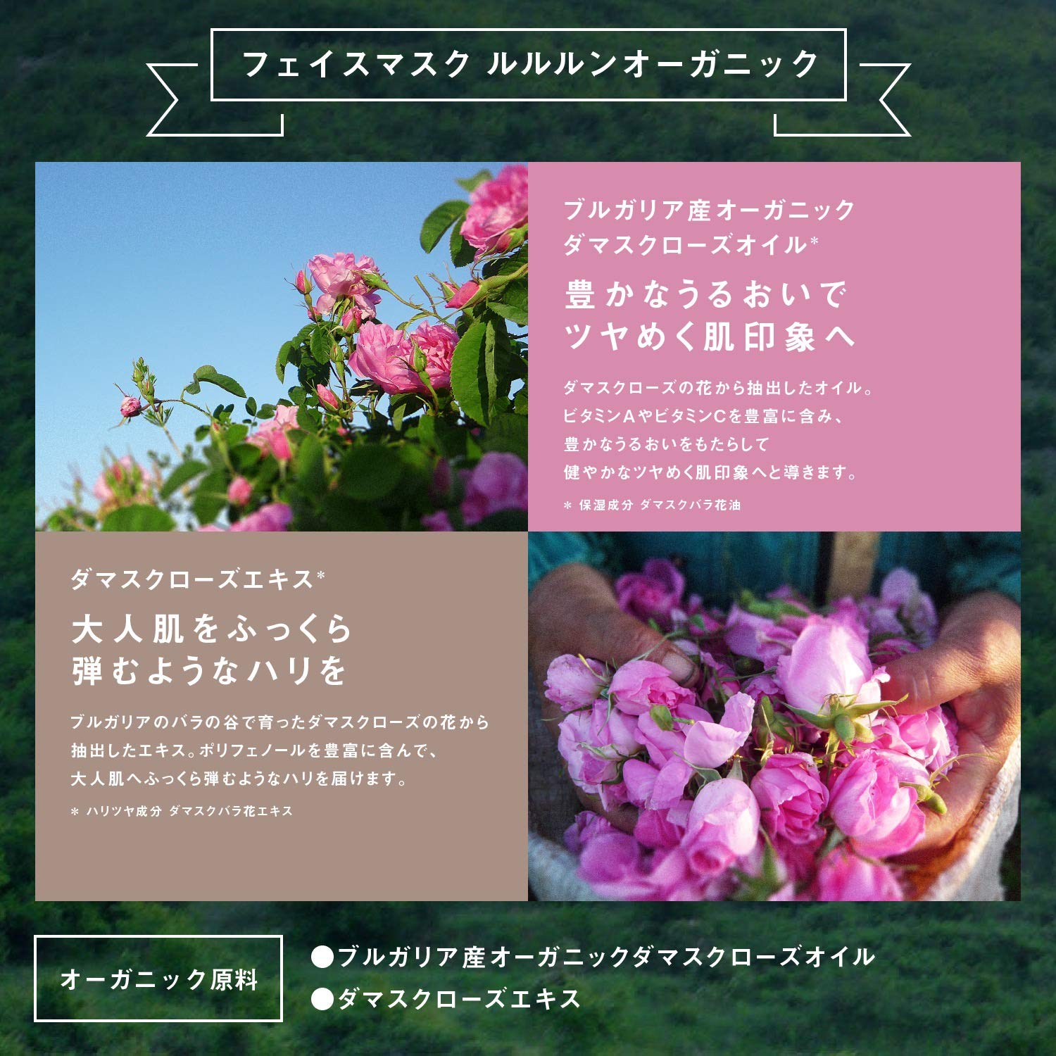 Lululun Organic Rose Face Mask Pack (5 Packs 30Ml Essence) - Japan