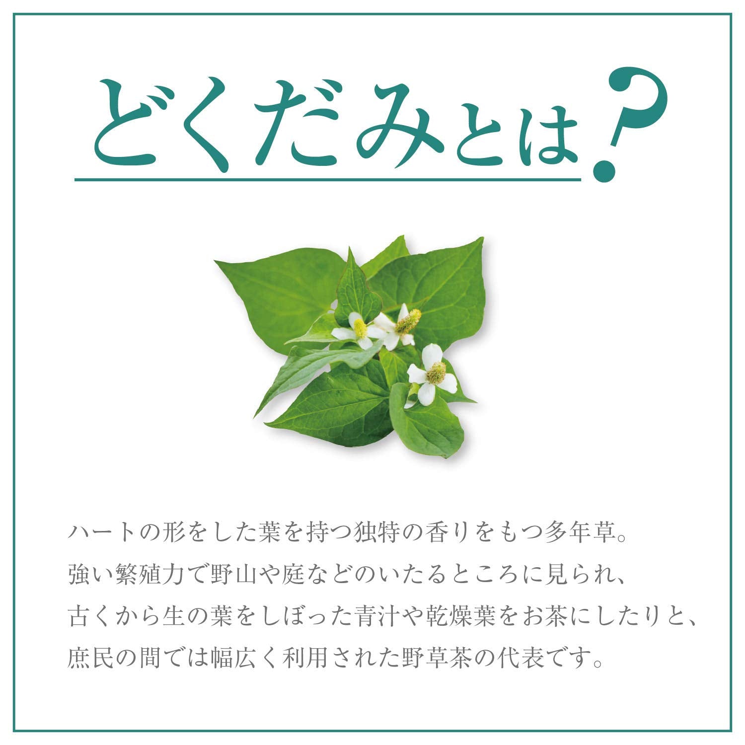 Orihiro Dokudami Tea 60 Bags - Japanese Dakudami Tea - Health Care Products