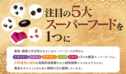 The Premium Enzyme Raw Enzyme X Super Food Capsule 90 Tablets - Japan