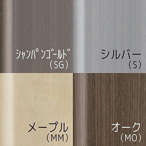 Refex Rmm-1Sg 30X60Cm Champagne Gold Magnet Mirror - Made In Japan