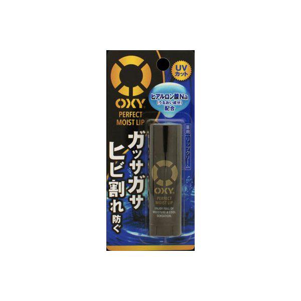 Rohto Oxy Perfect Moist Lip Balm for Men 4.5g