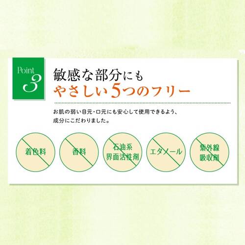 Santa Marche Point Makeup Remover Tea Leaf Extract 180ml - Japanese Makeup Remover Brands