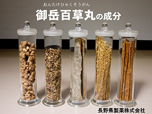 Nagano Pharmaceutical Mitake Hyakusogan 20 Packets - Japan Otc Drug