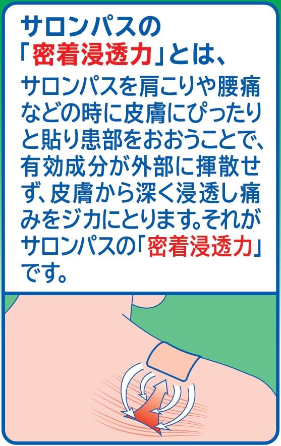 Salonpas Ex Warm Sensation 20 Sheets | Japan | Self-Medication Tax System