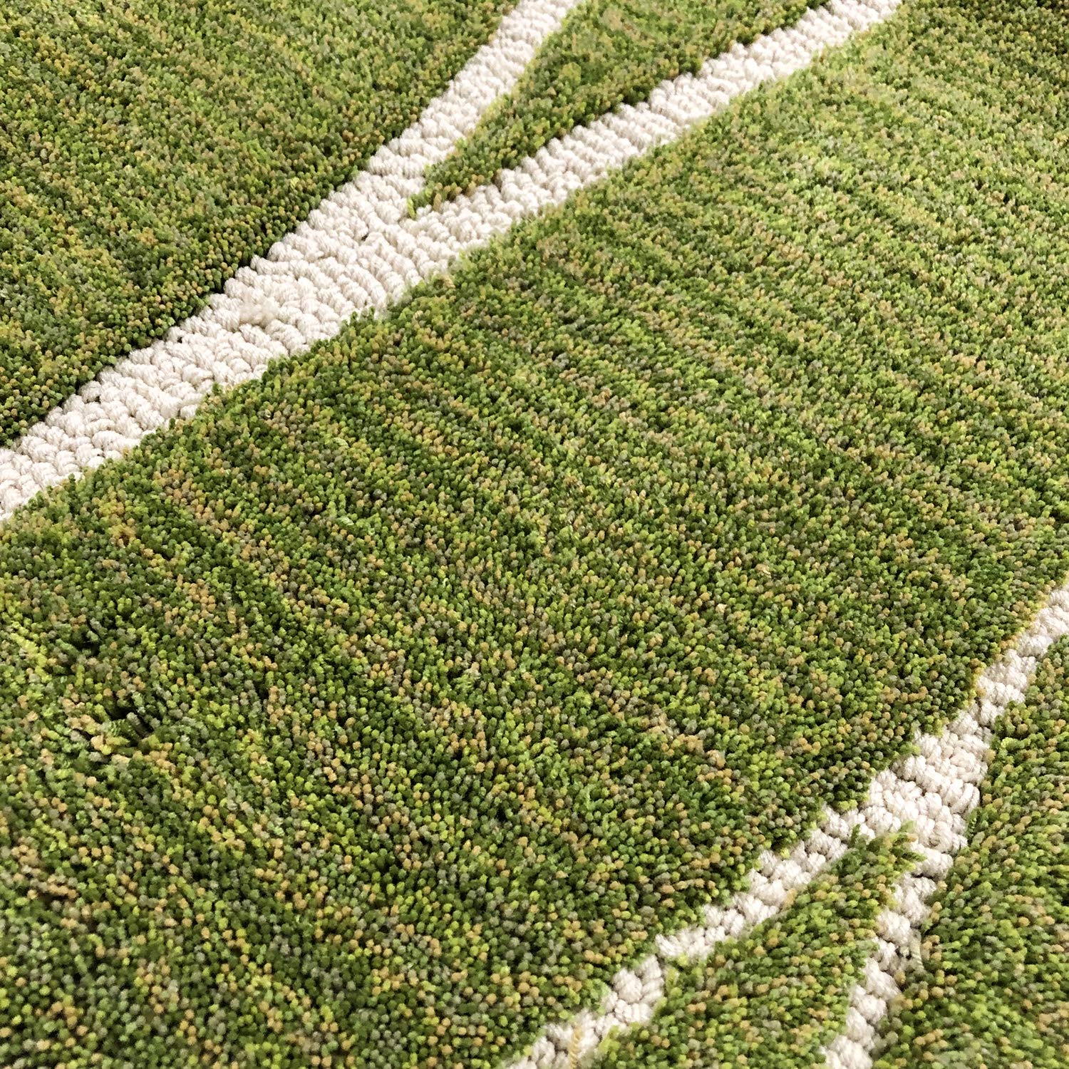 Senko Japan Harning Toilet Mat 60X60Cm Green Antibacterial Deodorant 26480