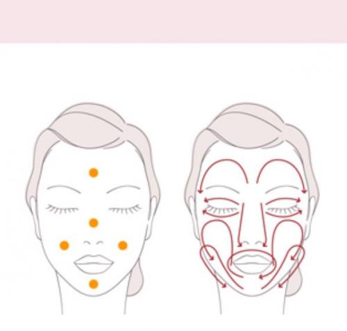 Shiseido Bio-Performance Lift Dynamic Serum 30g - Buy Serum Made In Japan Online