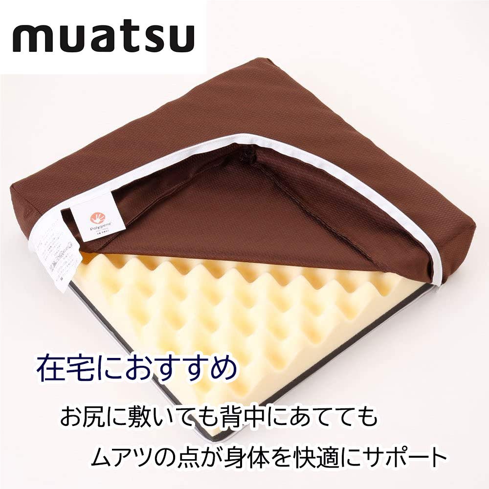 Showa-Nishikawa Muatsu Cushion 2 Form 01 Japan 7X40X40M 40Sq Brown