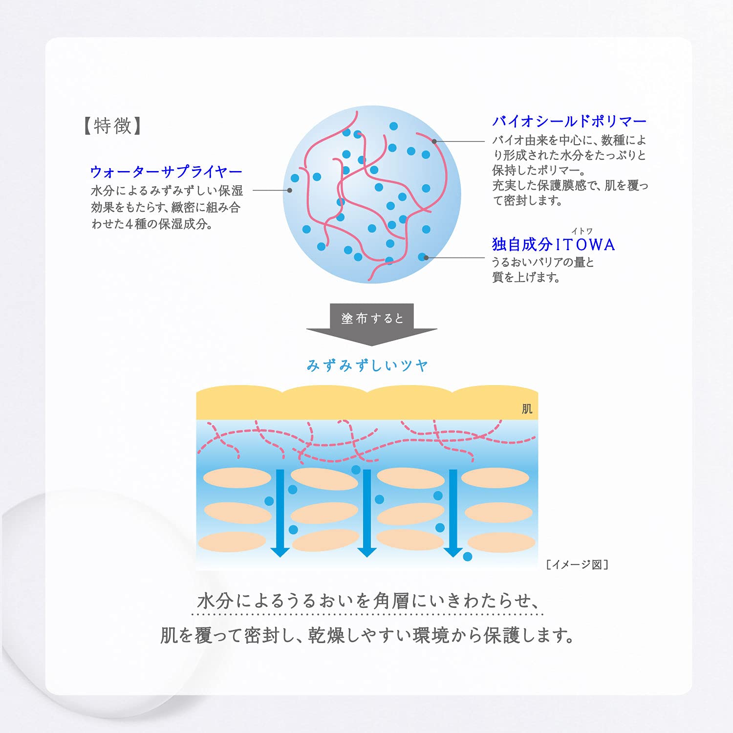 Kose Sekkisei Clear Wellness Water Shield Cream Refill 40g - Facial Japanese Skincare Products