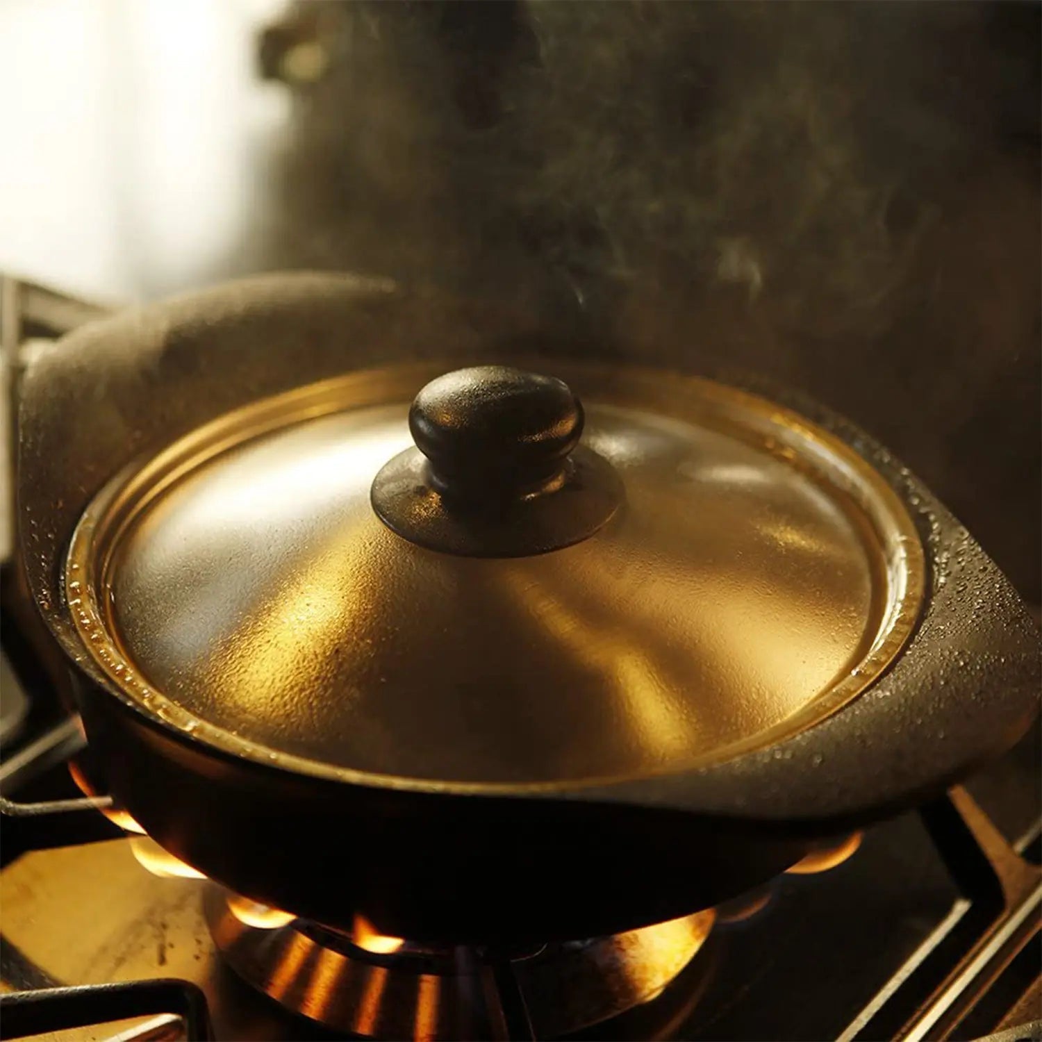 Nihon Yoshokki Cast Iron Induction Shallow Casserole 22Cm Japan W/ Stainless Steel Lid