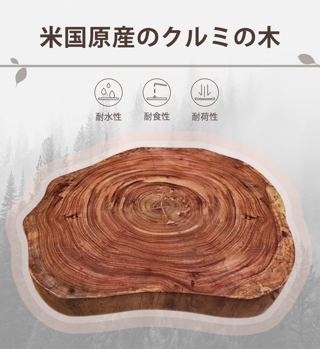 Excellence Club Souyuukai Toilet Paper Holder American Walnut Wood Wall Hanging Wooden Shelf Japan 5Kg Load Capacity