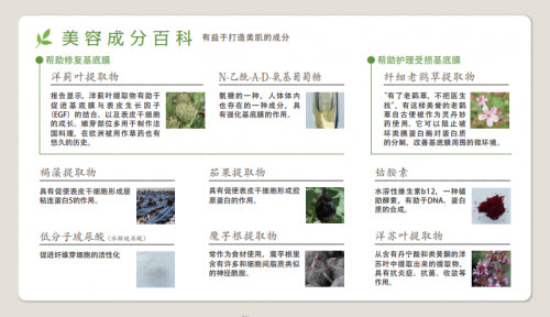 Sptm Beauty Cosmetics Septum Approach X Bm Serum 120ml - Japanese Beauty Lotion