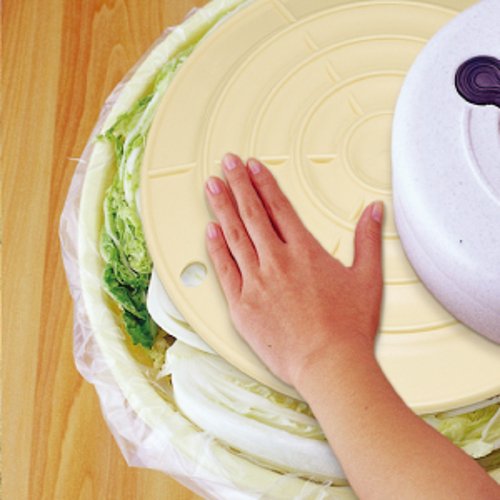 Squirrel Round Ivory Pickle Barrel Push Lid 80 Type Made In Japan