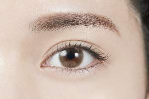 Topaz Topards One Day Opal -2.75 10 Pieces 3 Boxes Japan