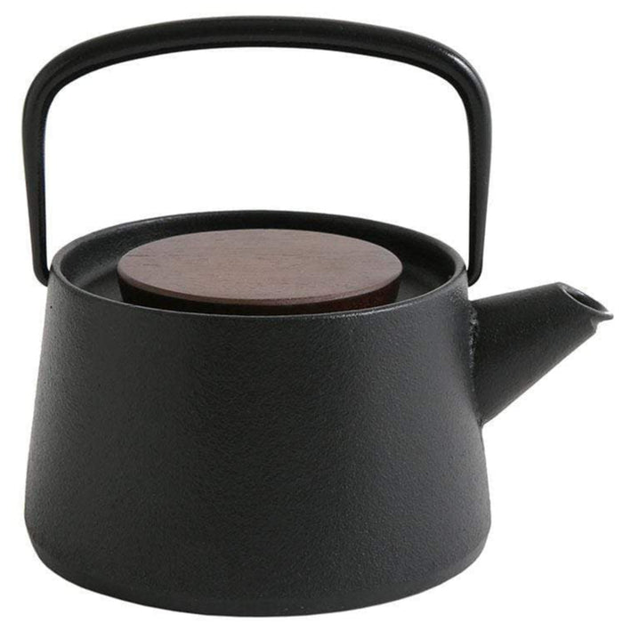Ikenaga Tetu Nambu Cast Iron Tetsukyusu Teapot