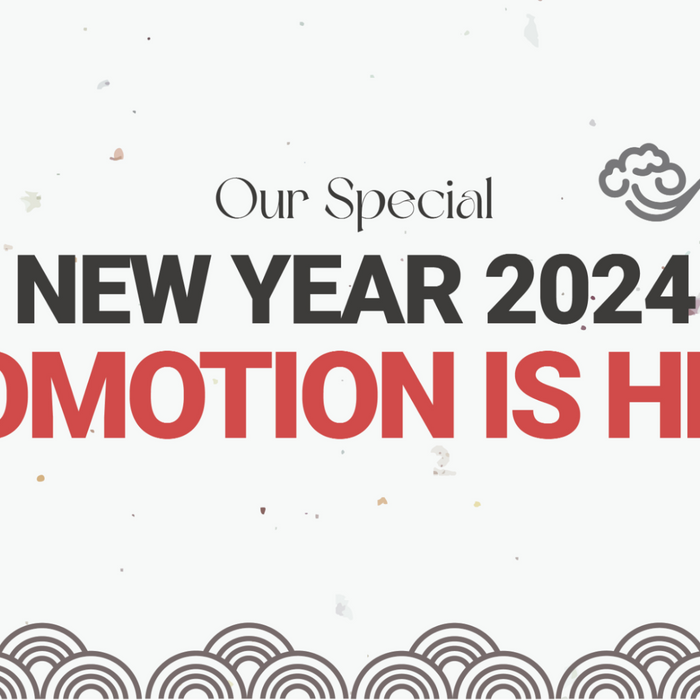 Fresh Start, Great Deals: Our Special New Year 2024 Promotion Is Here!