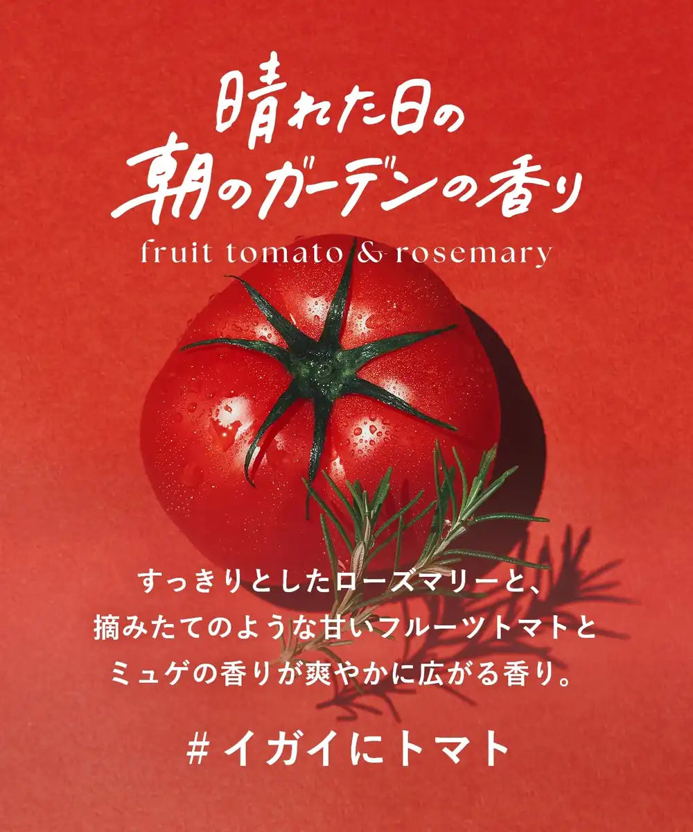 Huile capillaire limitée saisonnière botaniste hydratante aux fruits, tomate et romarin