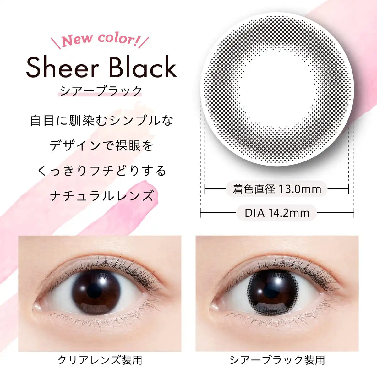 We Rejoice Color Contacts Feliamo Mai Shiraishi 1 Day Sheer Black Prescription -1.25 Japan