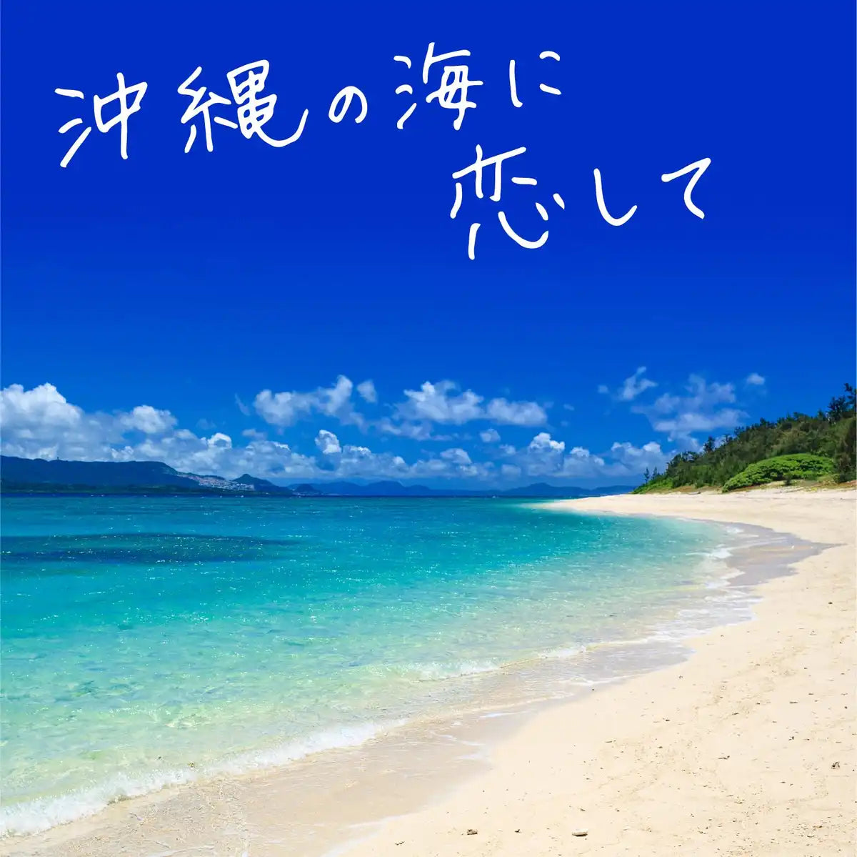 Bus Romance Travel Okinawa Medicinal Bath Additives - 4 Scents 12 Packets