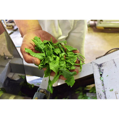 Jas Organic Cultivated Tea Rye Hanoi 100g