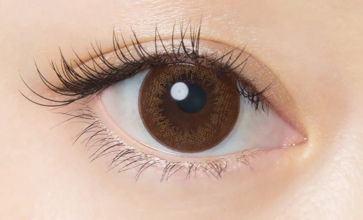 Flanmy 1Day Color Contacts [10 Pieces] Pwr -00.00 Donut Brown | Made In Japan