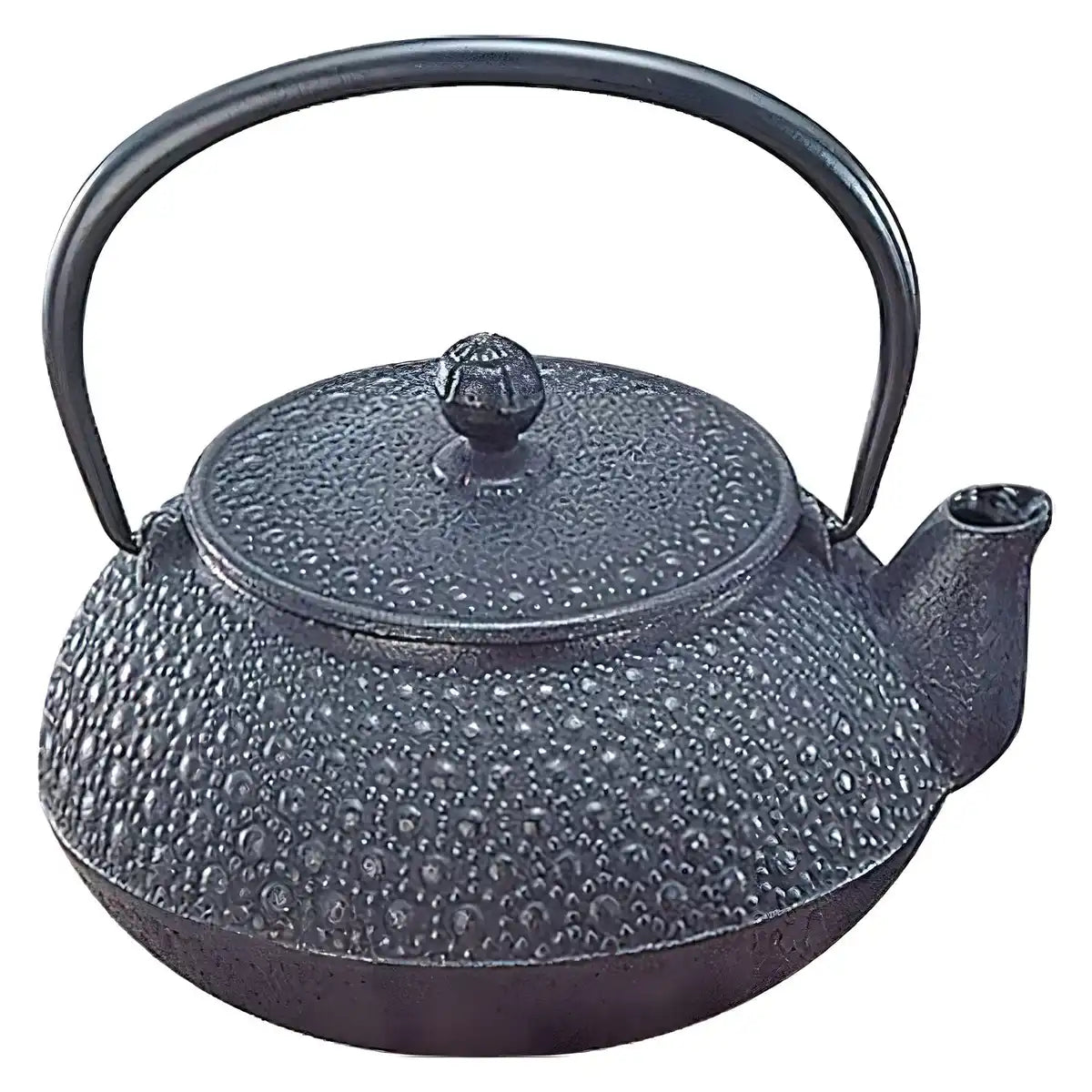 Iwachu Nambu Cast Iron Tetsukyusu Teapot Kikko 300ml