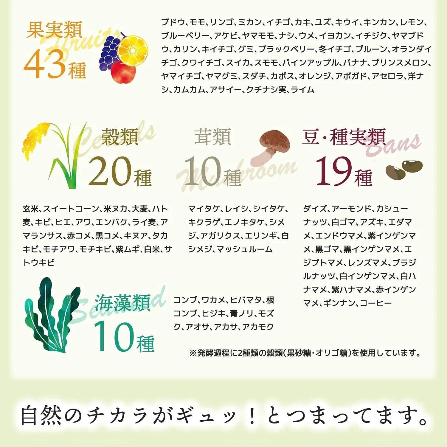 Ishokudogen 232 Soukai Exhilarating Diet Enzymes Premium 120 Capsules