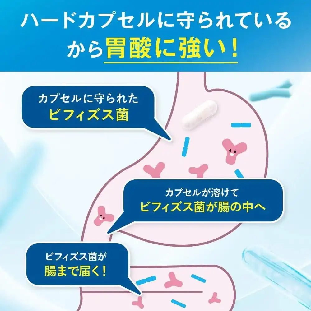 Kobayashi Pharmaceutical Bifidobacteria Hard Capsules Daily Supplement