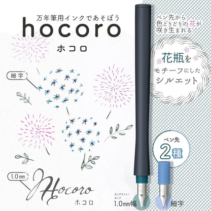 Sailor Fountain Pen Fine Point 1.0mm Nib Hocoro Double Gray Model 12-0220-021