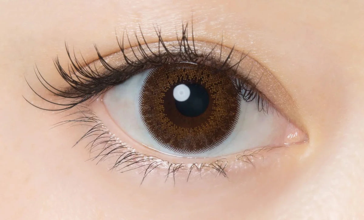 Flanmy 1Day -06.00 Power Chocolate Tart Contact Lenses [30 Pieces Per Box] Japan